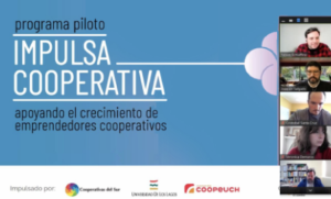 programa piloto impulsa cooperativa